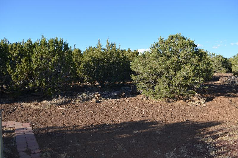 2313 East Fir Road Williams, AZ 86046 - Photo 14 of 38 fir 024