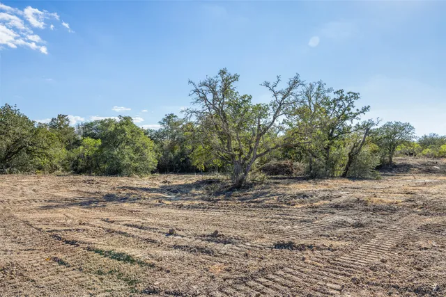 a view of a dirt road with trees
