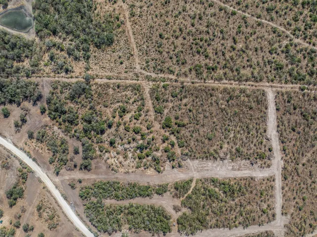an aerial view of mountain with trees