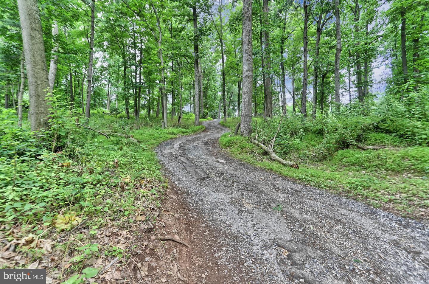 175 Pickett Road Dover, PA 17315 - Photo 27 of 36 Winding path through lush greenery.