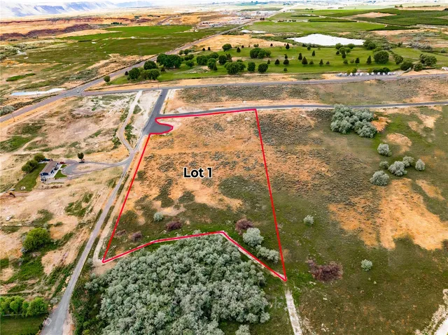 a view of a back yard of a building