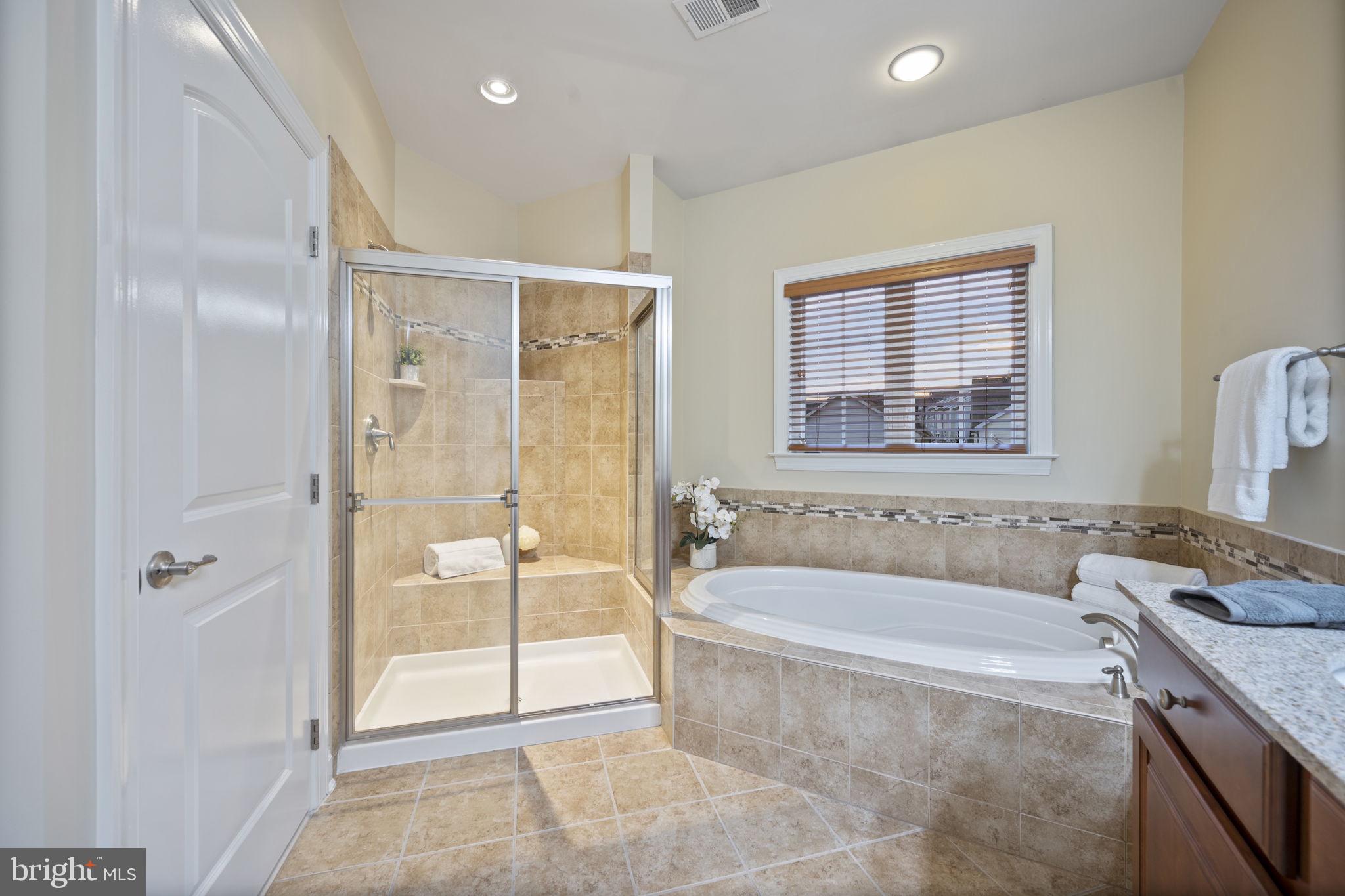 8976 Tawes Street Fulton, MD 20759 - Photo 38 of 65 a spacious bathroom with a granite countertop tub shower and mirror