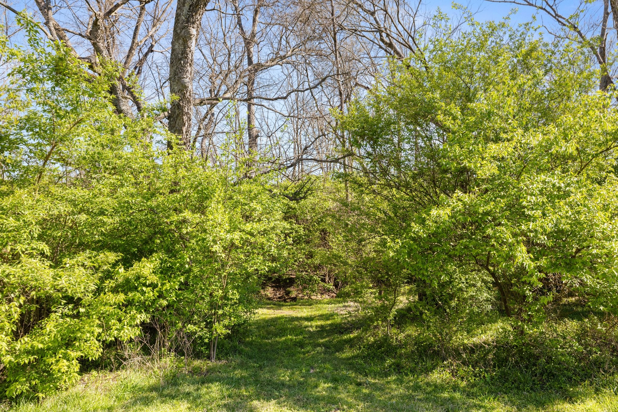 1470 Kittrell Road Franklin, TN 37064 - Photo 55 of 70 Gallery Image 55