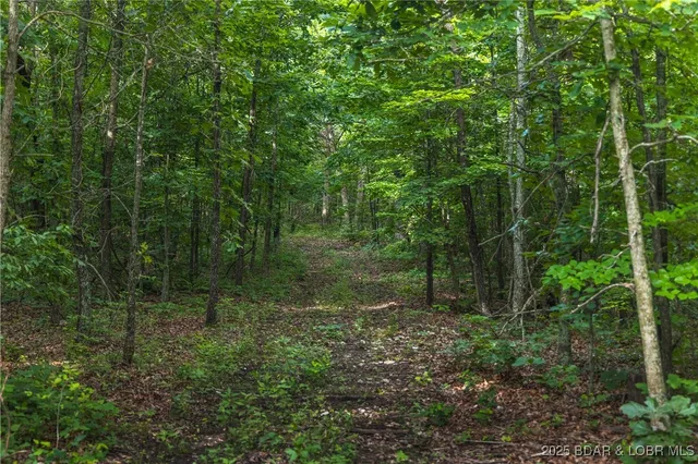 $130,950 | 3 State Road, Edwards, MO 65326