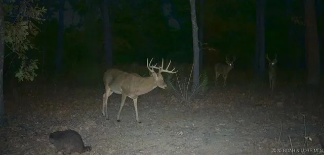 $130,950 | 3 State Road, Edwards, MO 65326