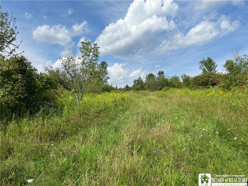 Mead Road North Jamestown, NY 14701 - Photo 32 of 42 Gallery Image 32