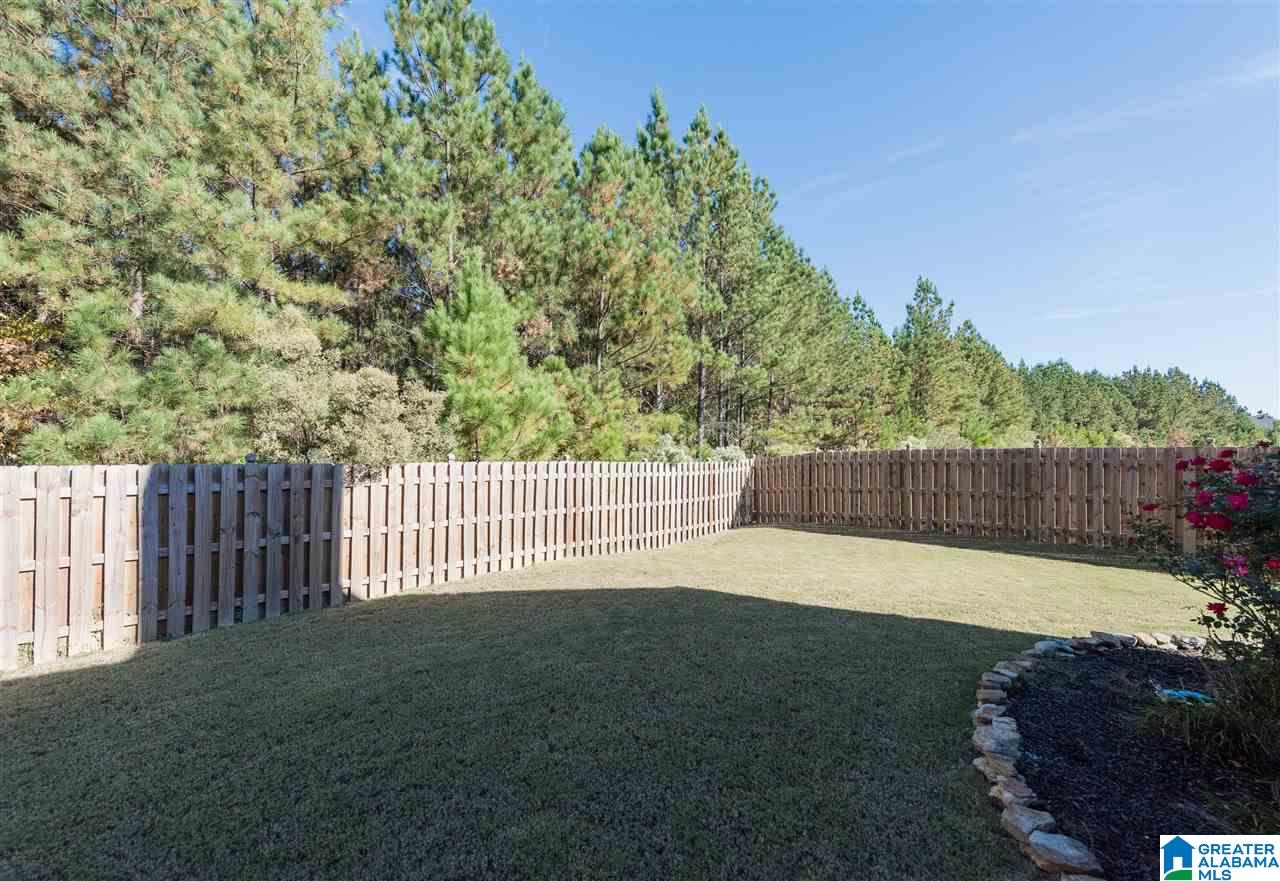 3040 Springfield Circle Chelsea, AL 35043 - Photo 36 of 38