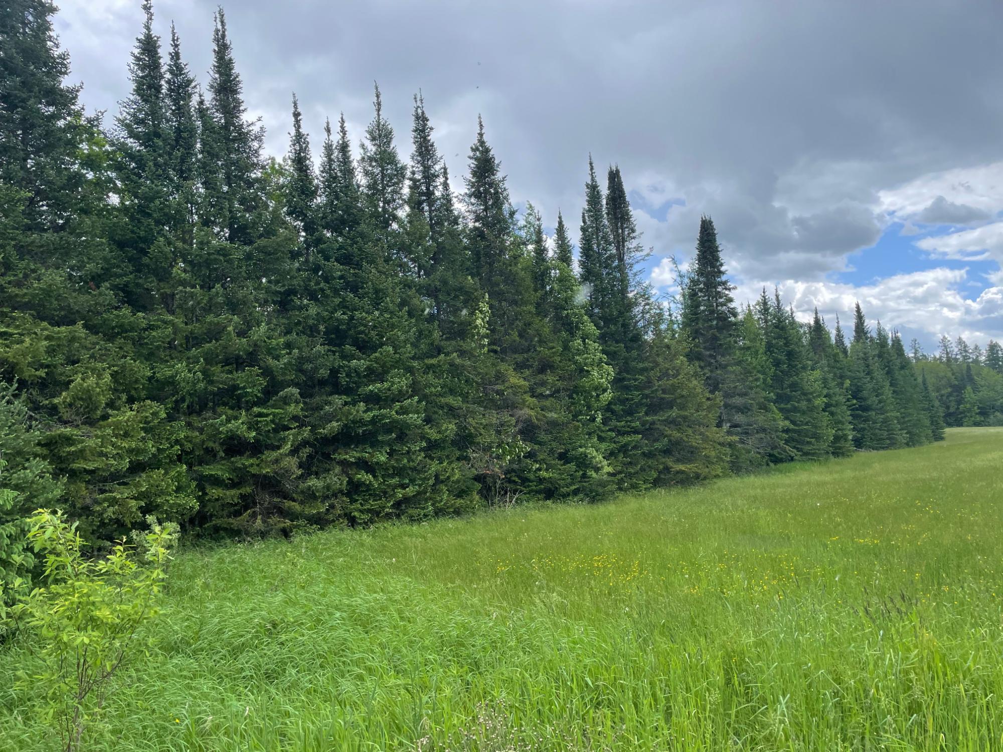 On Bear Lake Road, Unit 40 ACRES Butternut, WI 54514 - Photo 1 of 14 Gallery Image 1