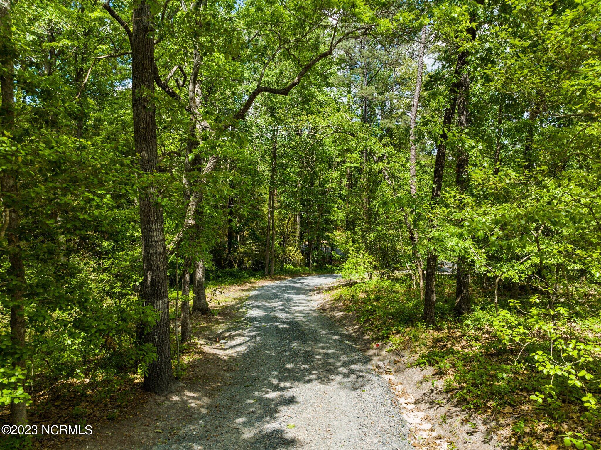 7000 Nc-22 Carthage, NC 28327 - Photo 22 of 35 Driveway facing Road
