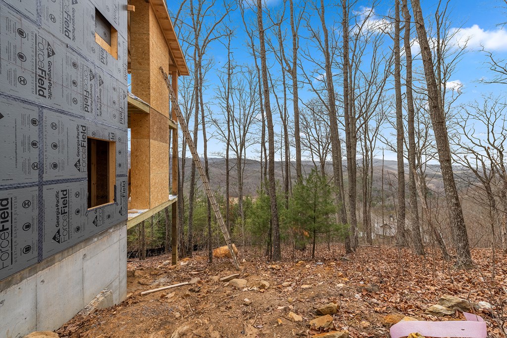 10 The Heights Blue Ridge, GA 30513 - Photo 41 of 75 Gallery Image 41