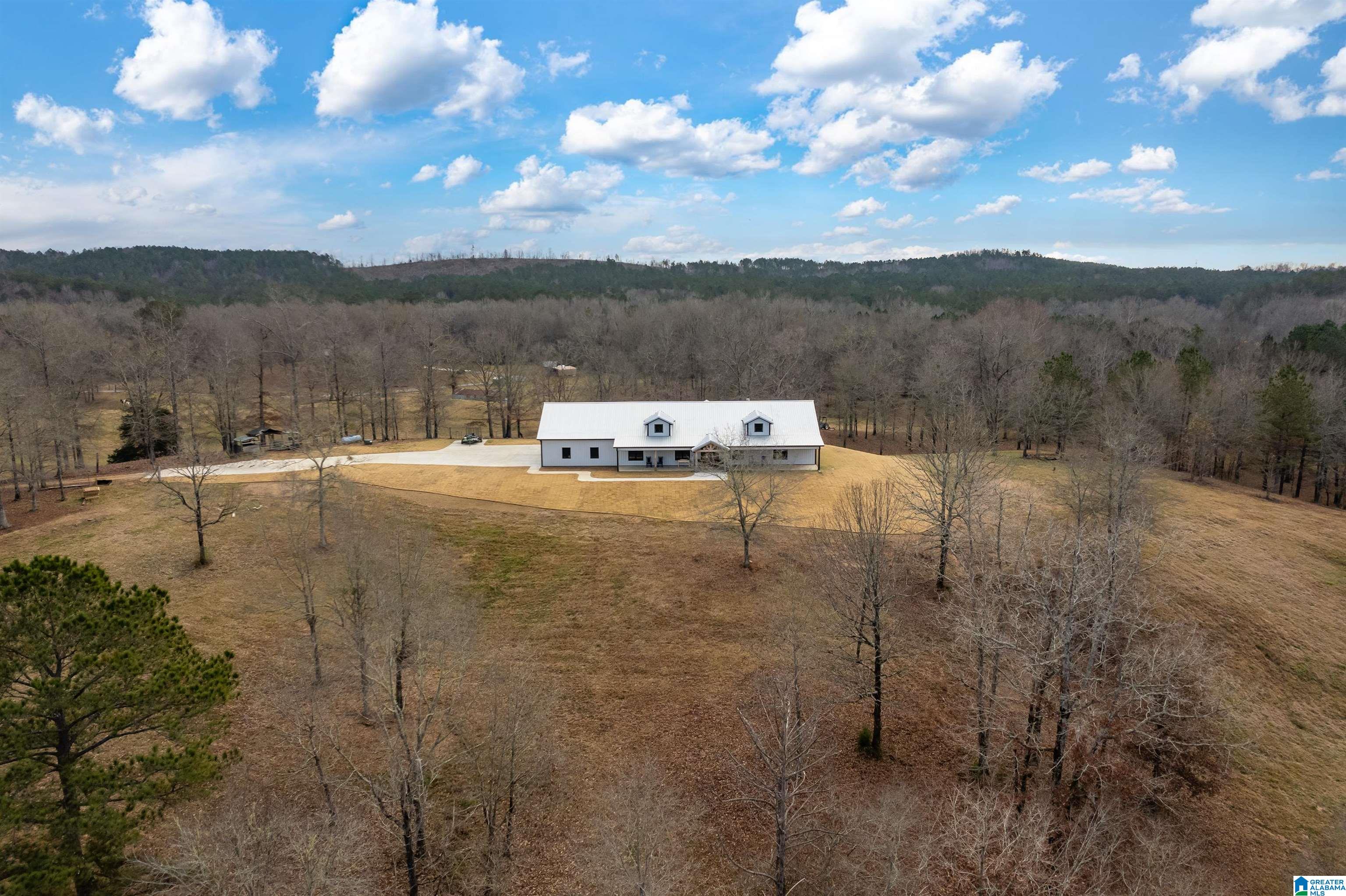 674 Dry Creek Road Cropwell, AL 35054 - Photo 49 of 49