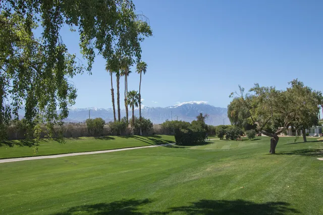 a view of a grassy field with trees