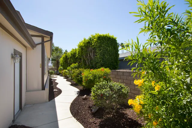 a view of a pathway with plants