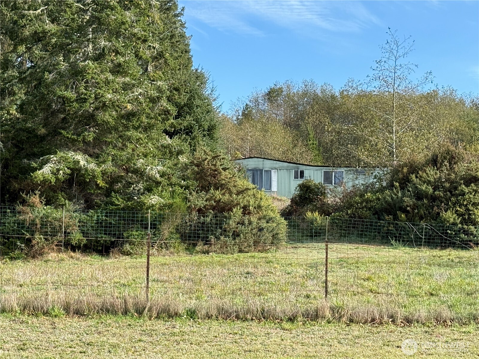 23804 Elm Place Ocean Park, WA 98640 - Photo 1 of 5 a view of a garden