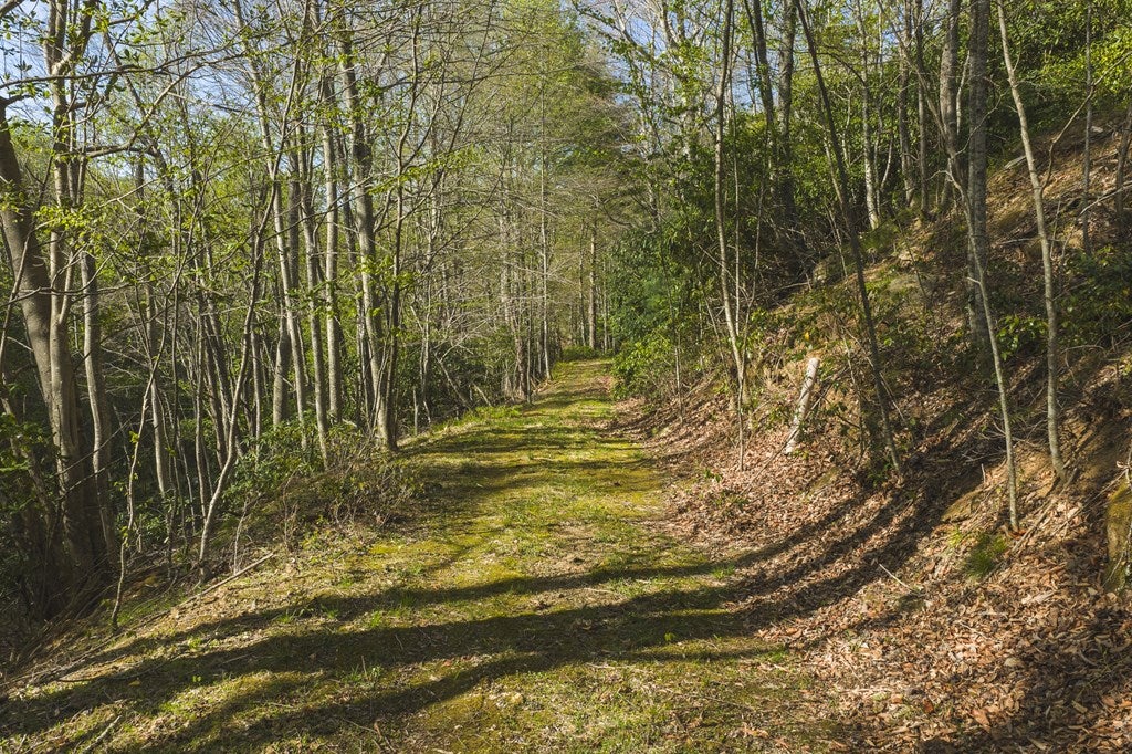 Tbd Black Ridge Road Southwest Floyd, VA 24091 - Photo 2 of 38 Gallery Image 2