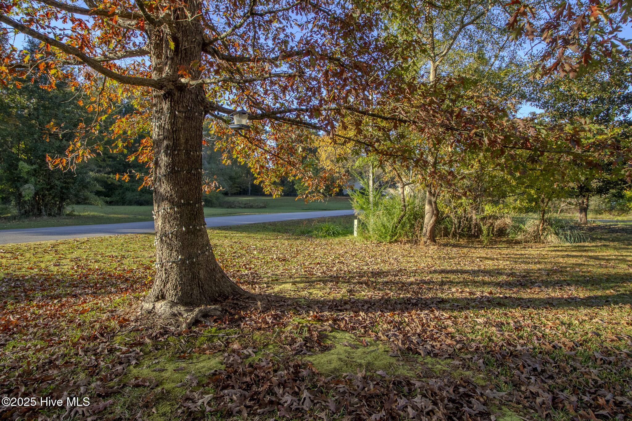 816 Mill River Road Jacksonville, NC 28540 - Photo 7 of 46 IMG_5927-HDR