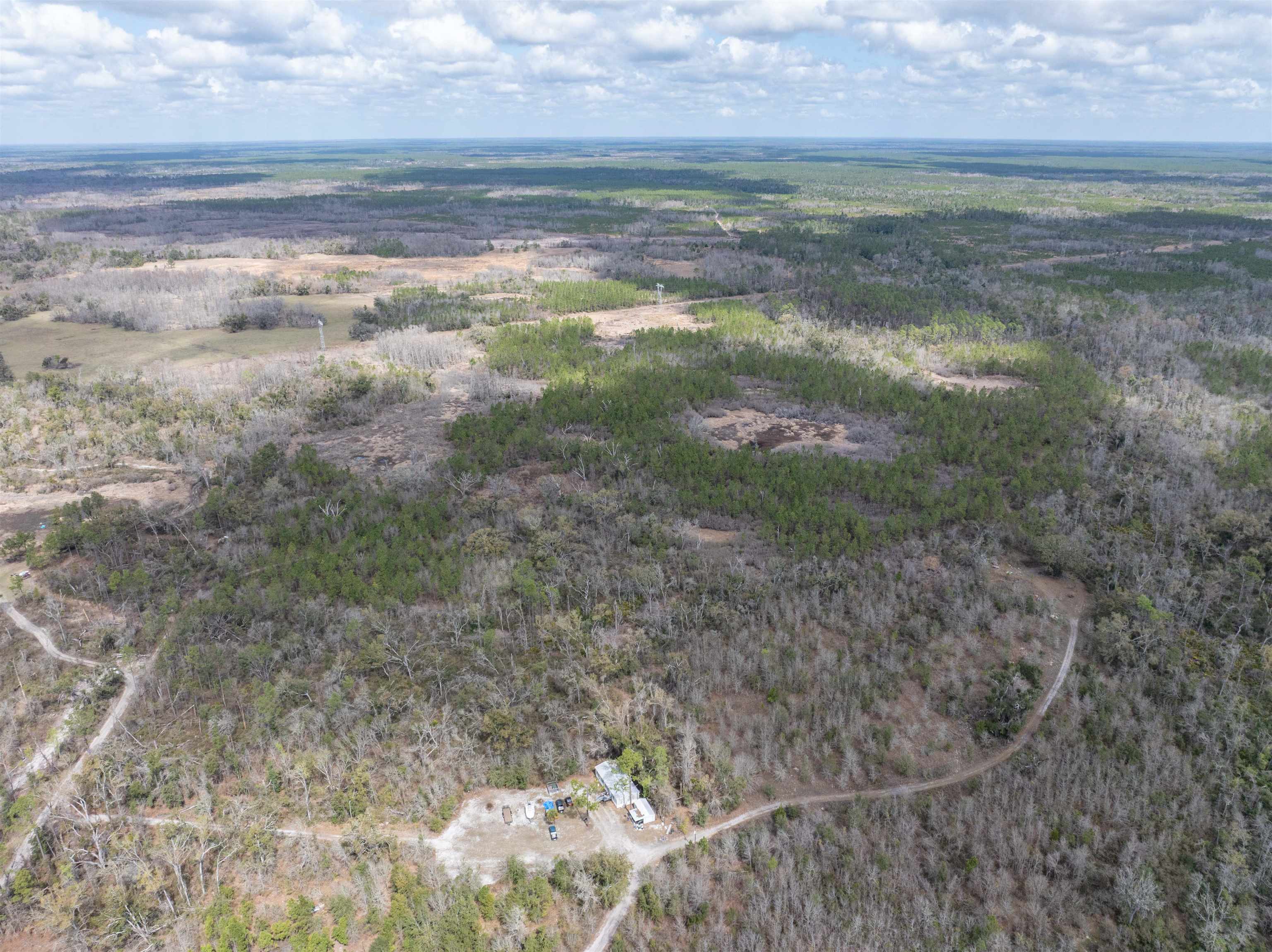 Vacant 40-acres Vacant 40-acres Ellison Frith Road Perry, FL 32347 - Photo 9 of 24