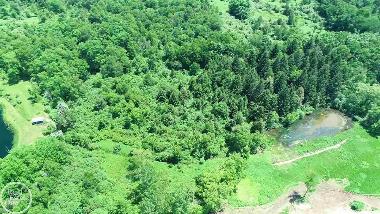 2425 Adams Road Oakland, MI 48363 - Photo 8 of 21