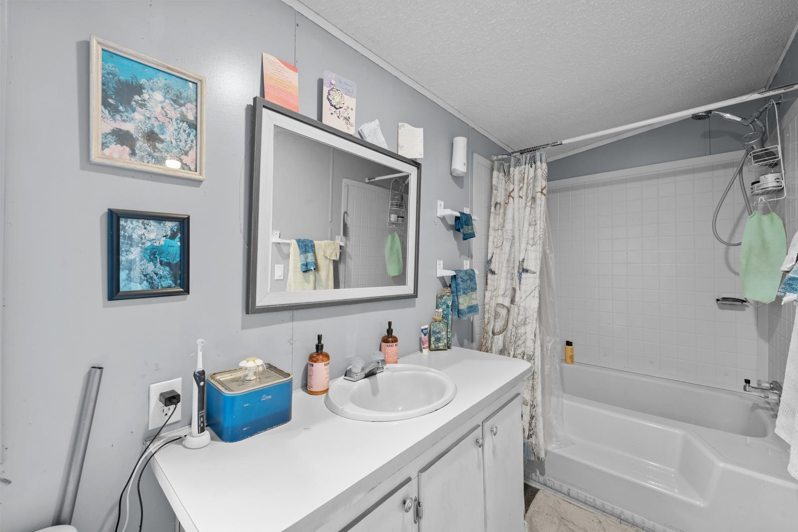 106 Lake Lane Crescent City, FL 32112 - Photo 7 of 25 a bathroom with a sink and a mirror