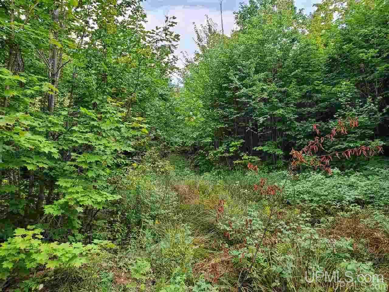 Tbd Tbd Holyoak Negaunee, MI 49866 - Photo 3 of 10