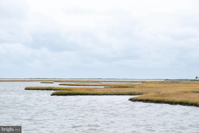 a view of an ocean and beach