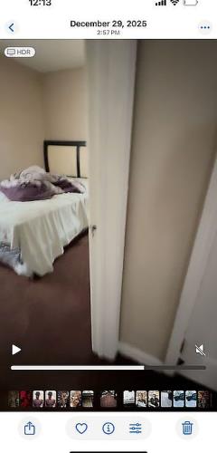 15427 Patton Street Detroit, MI 48223 - Photo 25 of 31