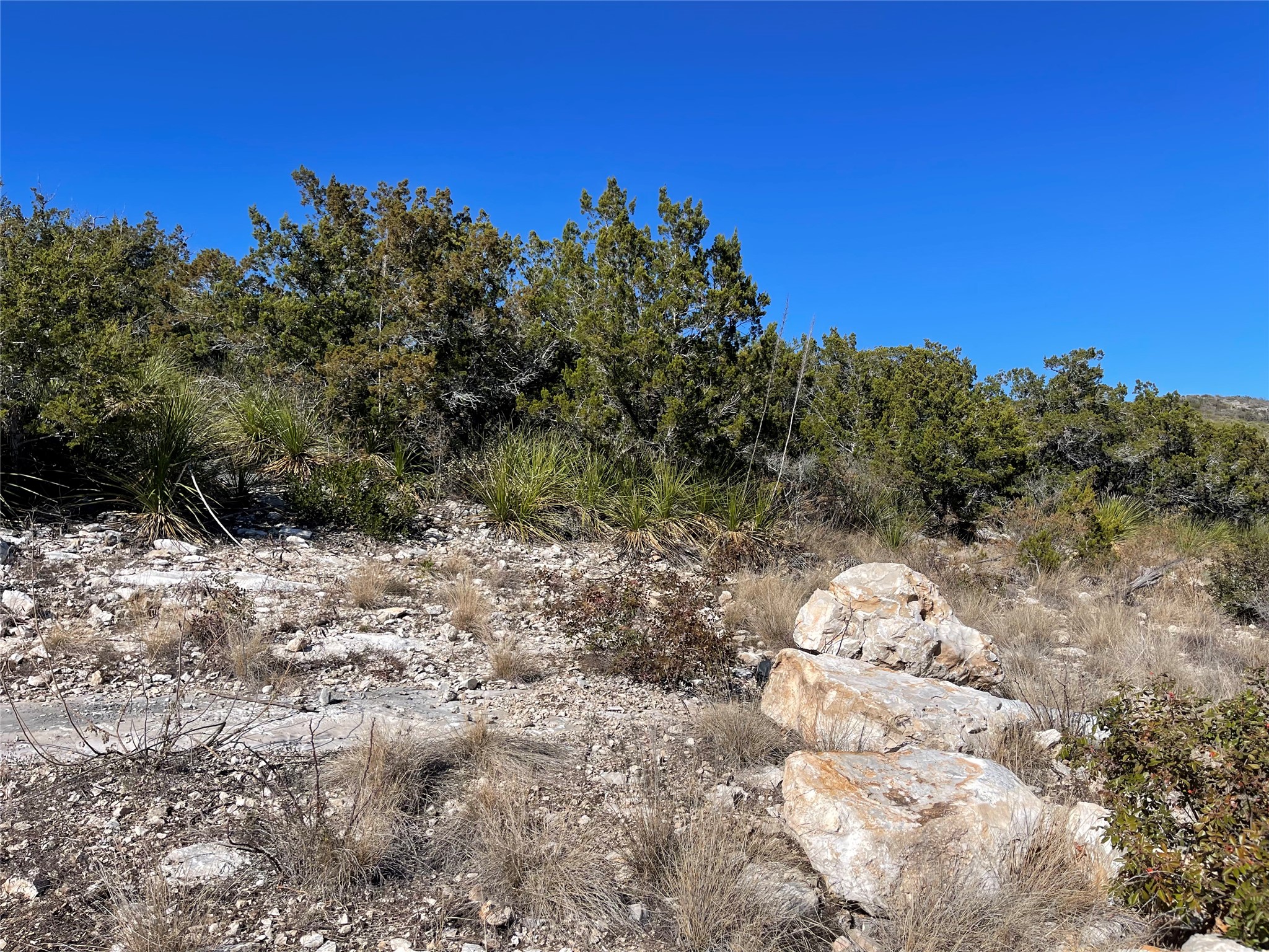305 Walnut Springs Ranch Road Uvalde, TX 78801 - Photo 7 of 21 a view of a backyard of the house