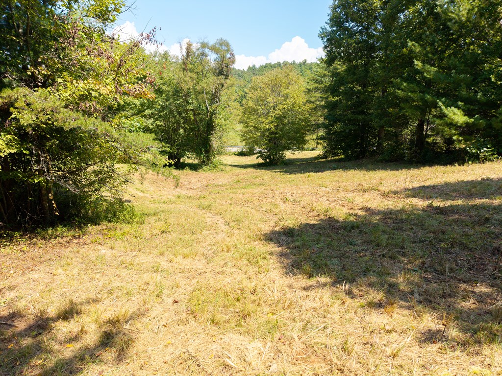 0 Ruby Road Murphy, NC 28906 - Photo 8 of 18 a view of a yard