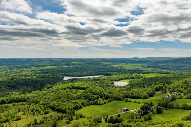 a view of a garden with an ocean