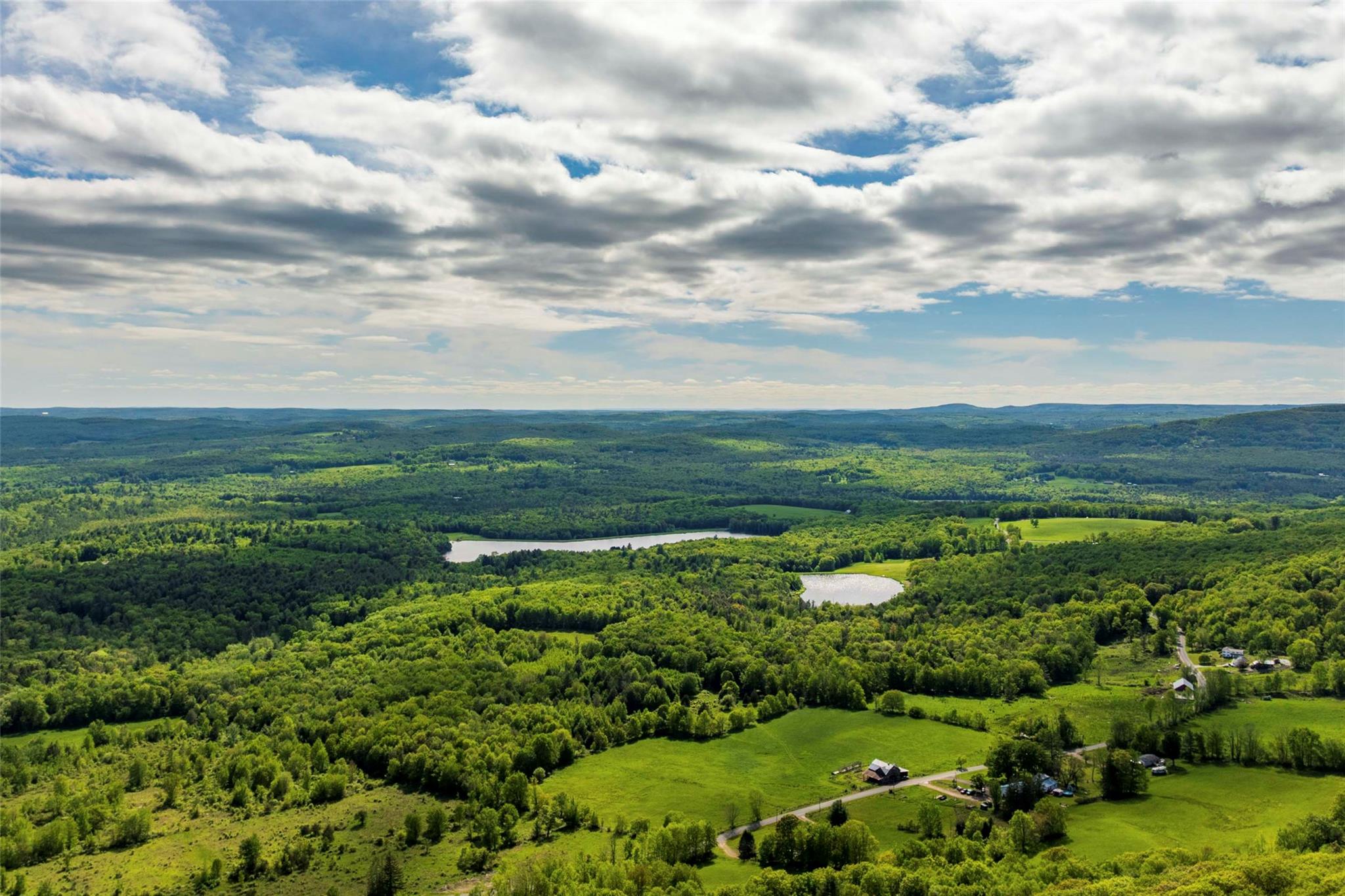a view of a garden with an ocean