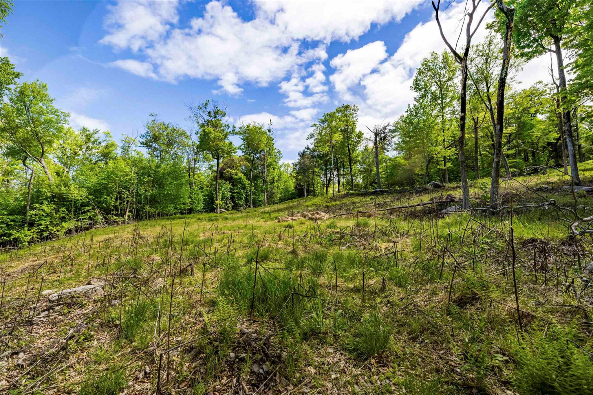 3 Red Rock Road Wawarsing, NY 12489 - Photo 3 of 15 a view of a yard with plants and a bench