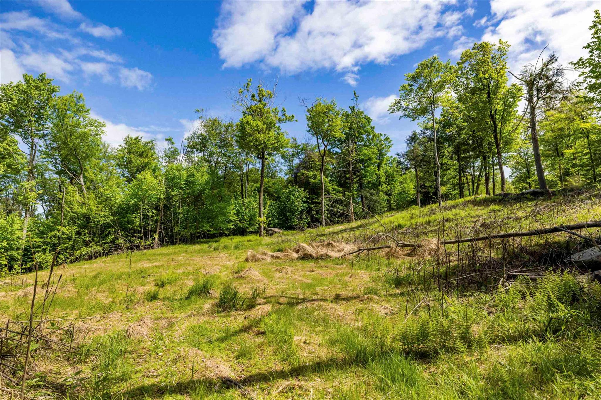 3 Red Rock Road Wawarsing, NY 12489 - Photo 4 of 15 a view of a yard with wooden fence