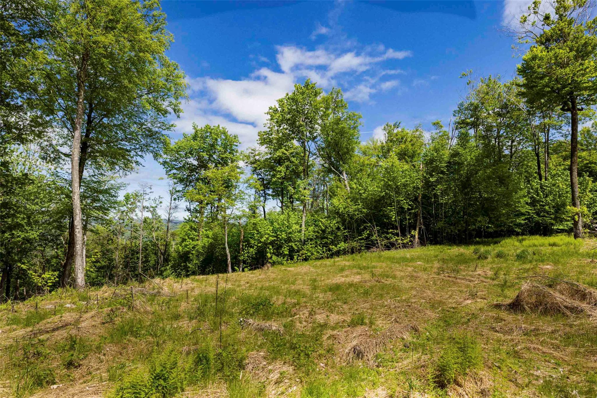 3 Red Rock Road Wawarsing, NY 12489 - Photo 5 of 15 a view of a yard with trees