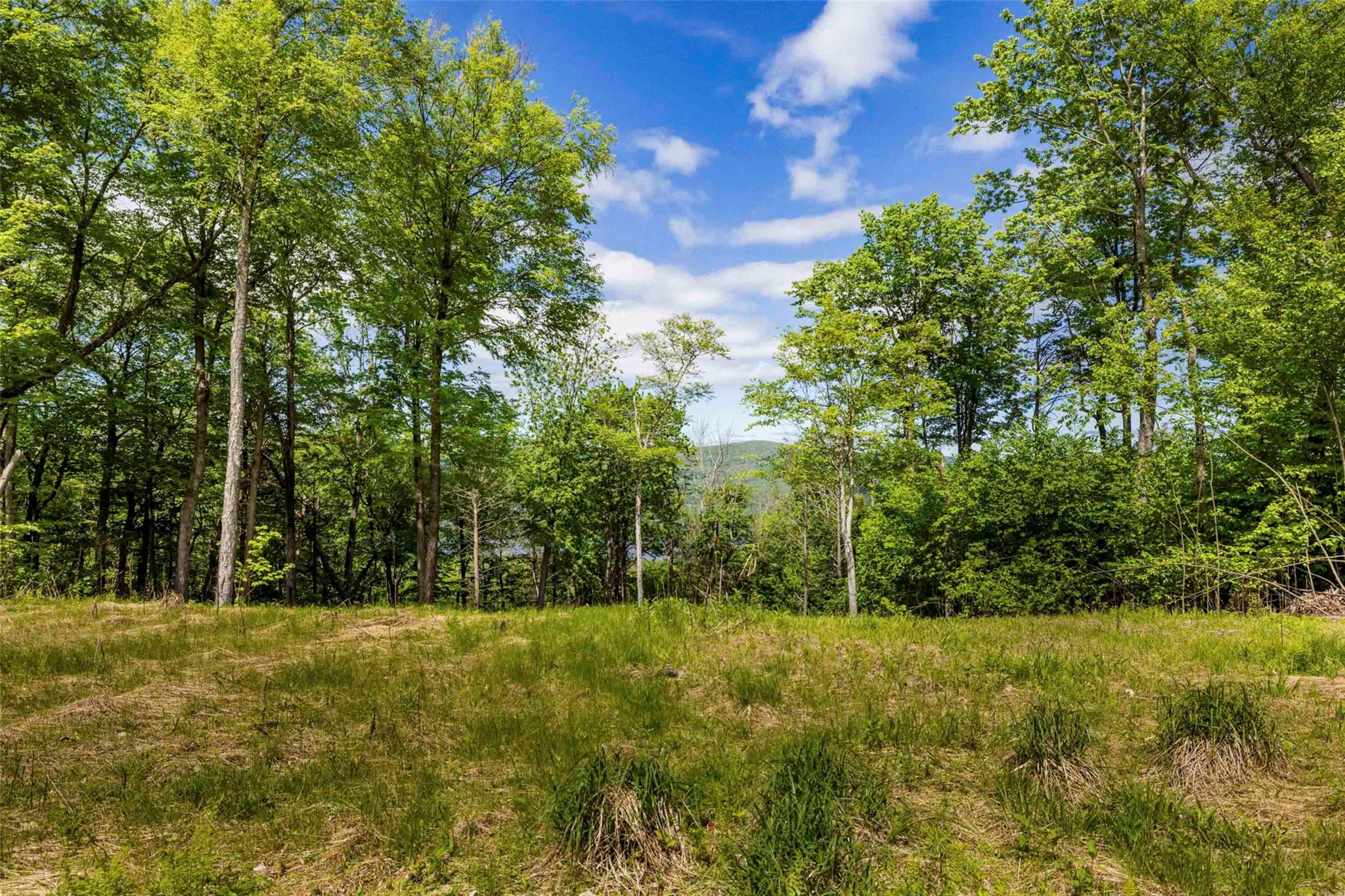 3 Red Rock Road Wawarsing, NY 12489 - Photo 6 of 15 a view of outdoor space and yard