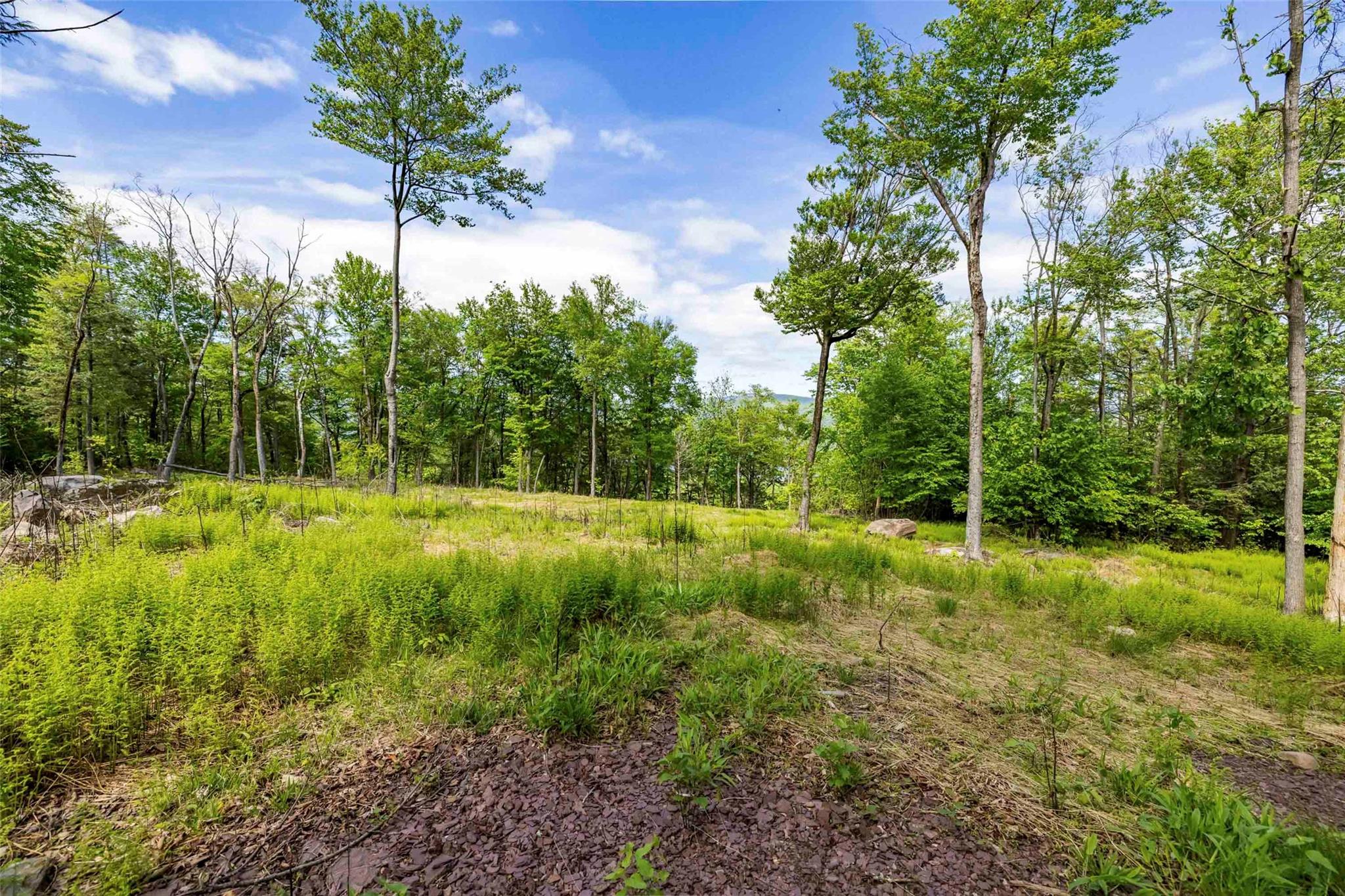 3 Red Rock Road Wawarsing, NY 12489 - Photo 8 of 15 a view of backyard with green space