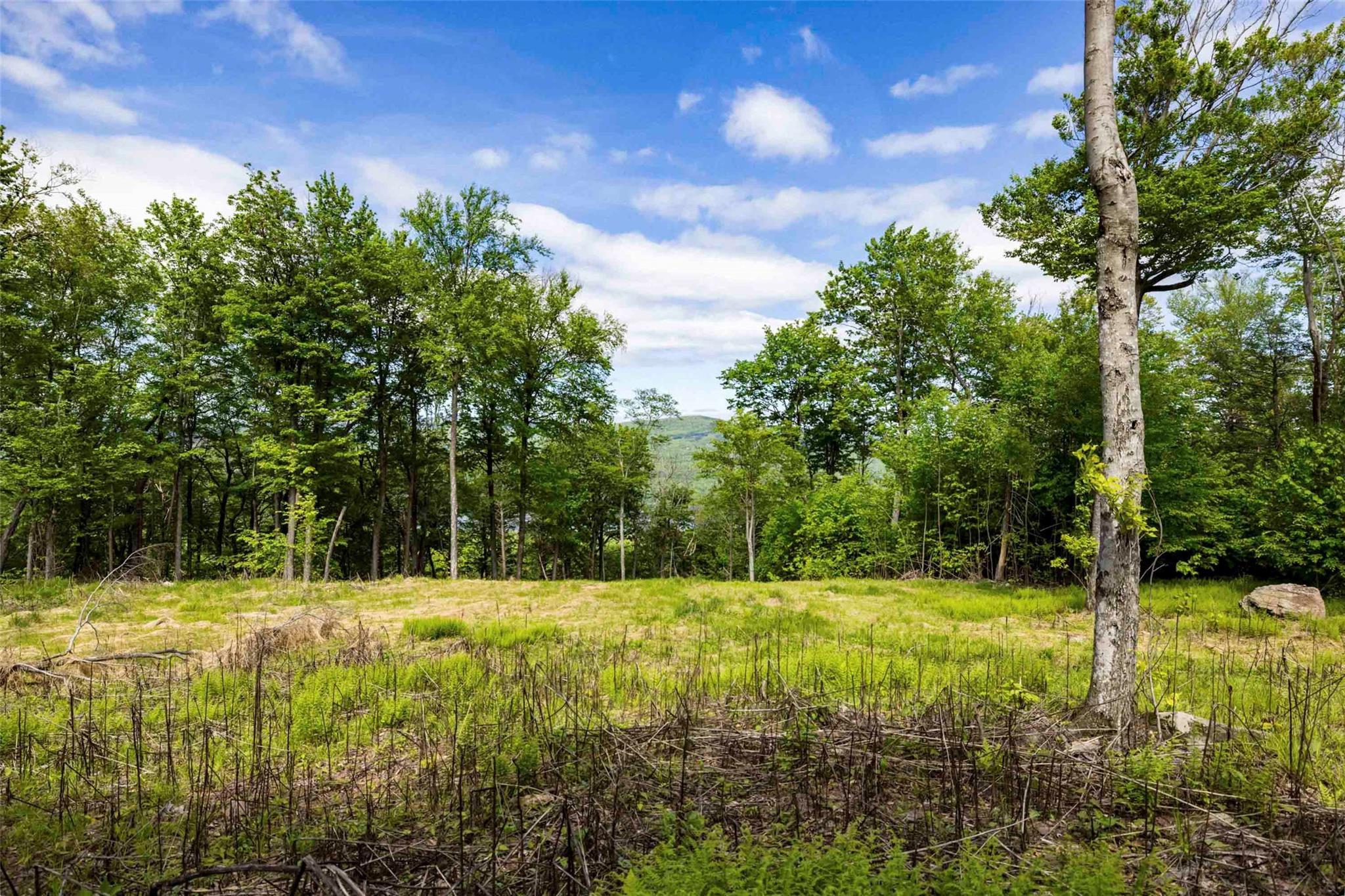 3 Red Rock Road Wawarsing, NY 12489 - Photo 9 of 15 a view of swimming pool with a yard