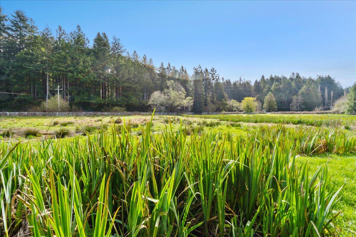 2630 Spears Road Eureka, CA 95503 - Photo 48 of 53 12-DSC00480