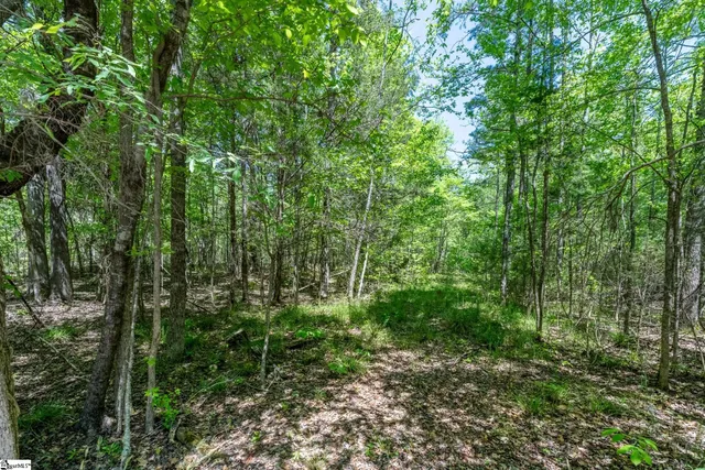 $550,000 | 0 Bryson Drive, Laurens, SC 29360