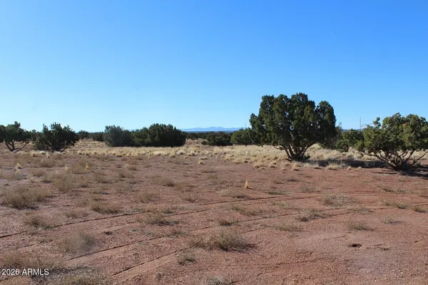 a view of top of a field with trees in the background