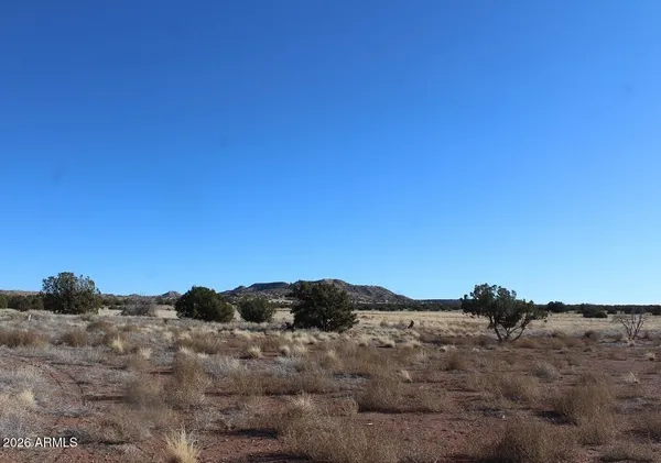 a view of a dry field