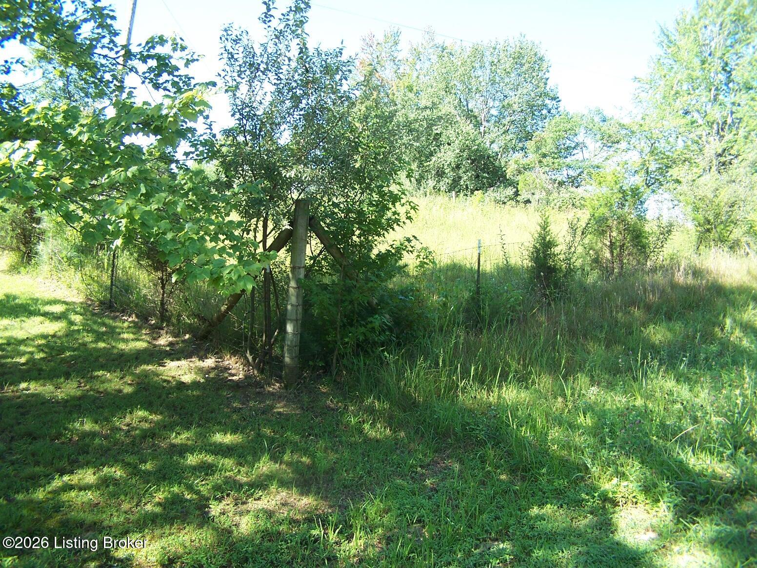 0 Anna Sandhill Road Bowling Green, KY 42101 - Photo 2 of 13 Some of the cleared land leading to the top area that is fully cleared for development