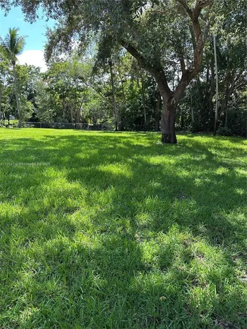 a view of road and trees