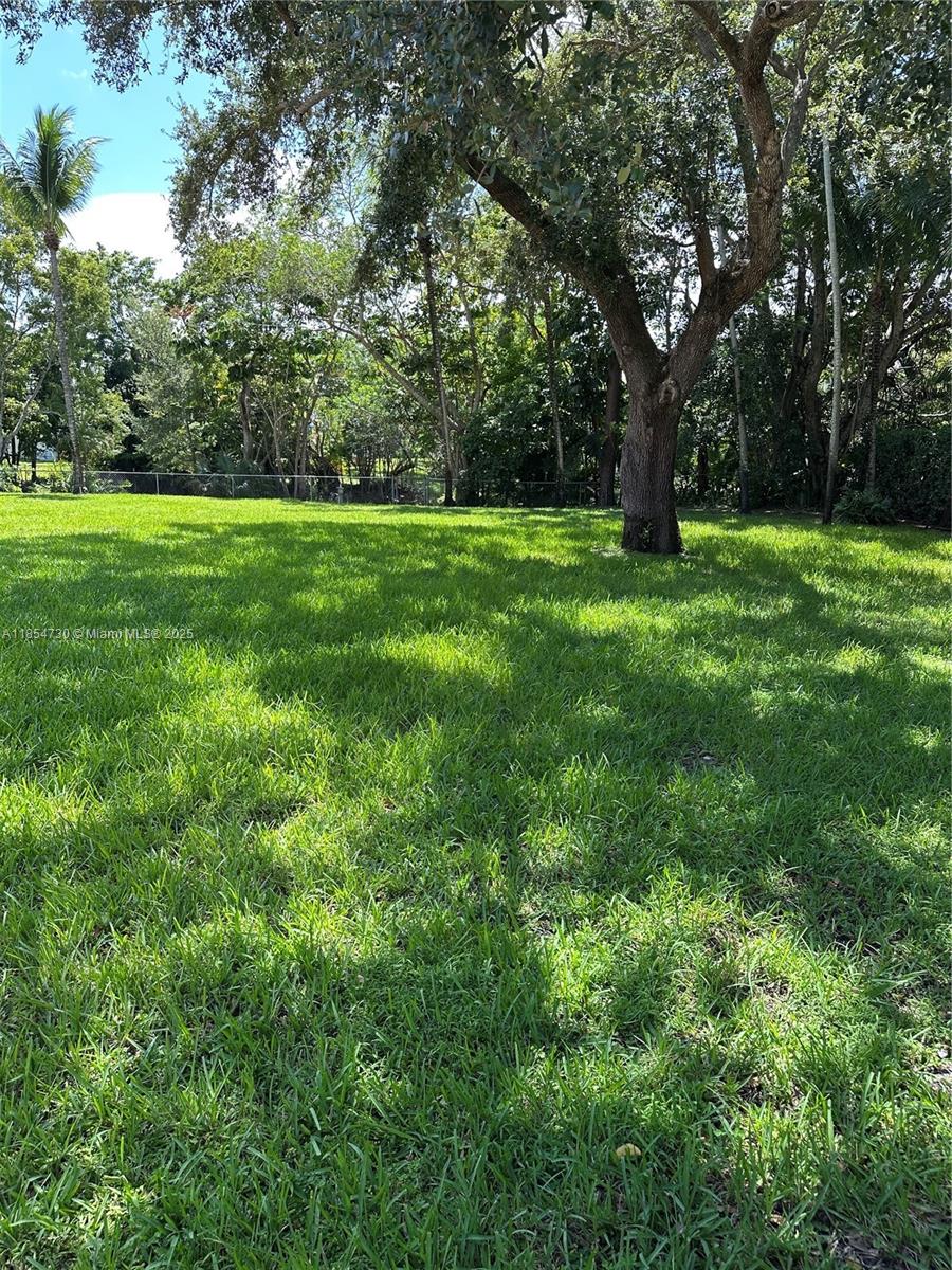 10600 Southwest 69th Avenue Pinecrest, FL 33156 - Photo 44 of 55 a view of green field with a tree