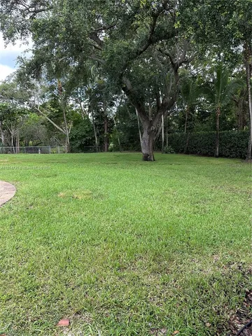 a view of a park with large trees