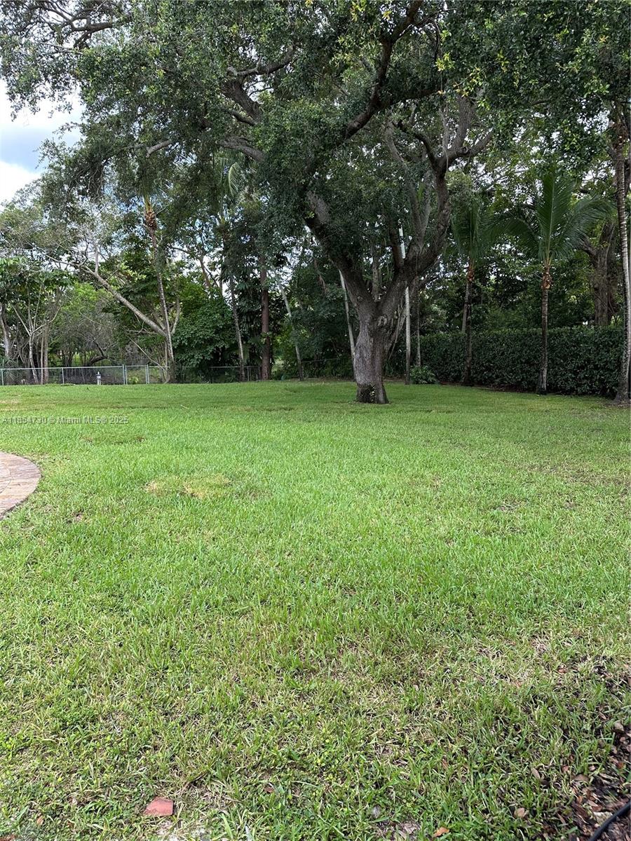 10600 Southwest 69th Avenue Pinecrest, FL 33156 - Photo 46 of 55 a view of a field with a tree
