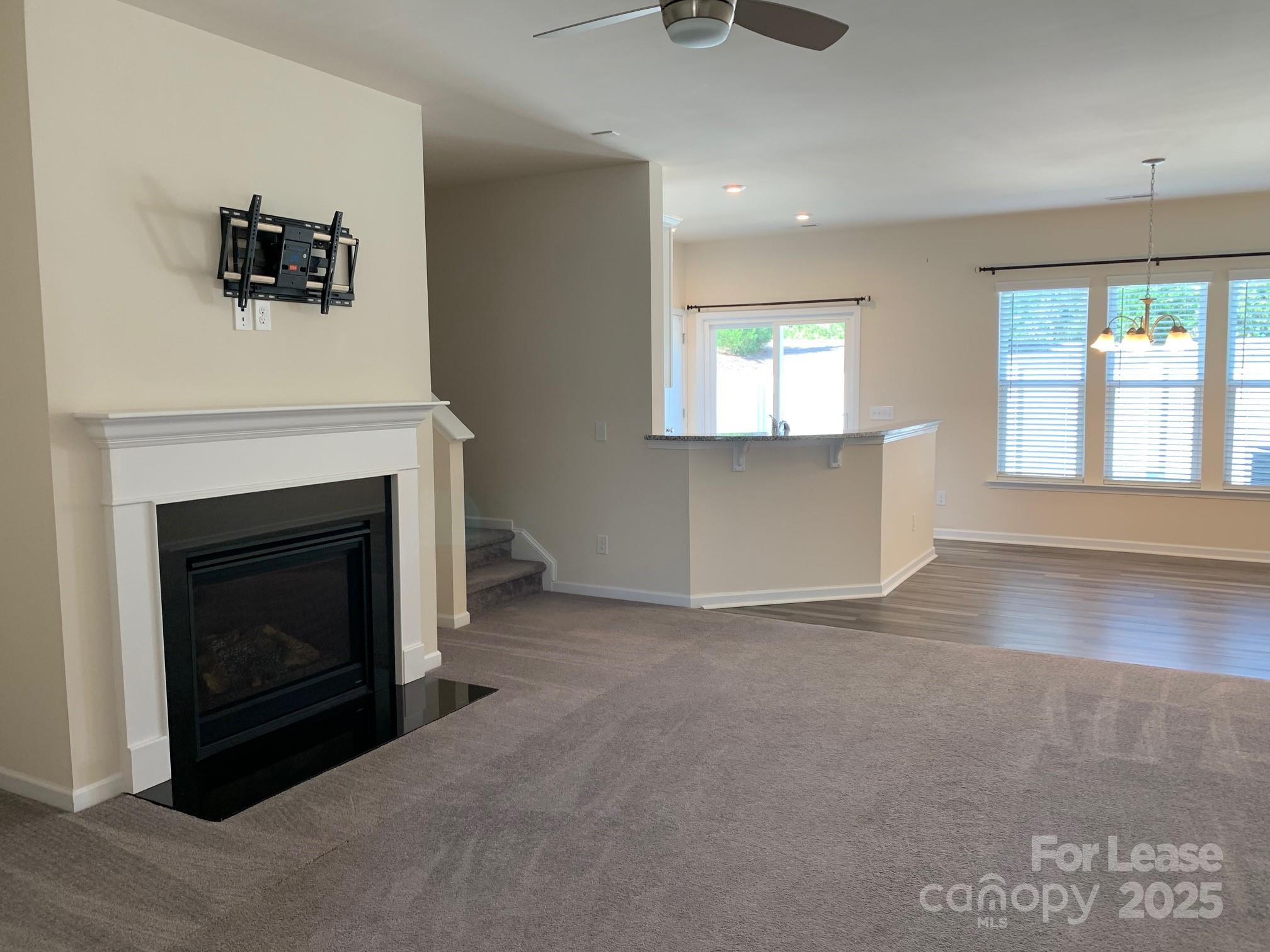 905 Wicawa Road Fort Mill, SC 29708 - Photo 5 of 29 an empty room with windows and fireplace