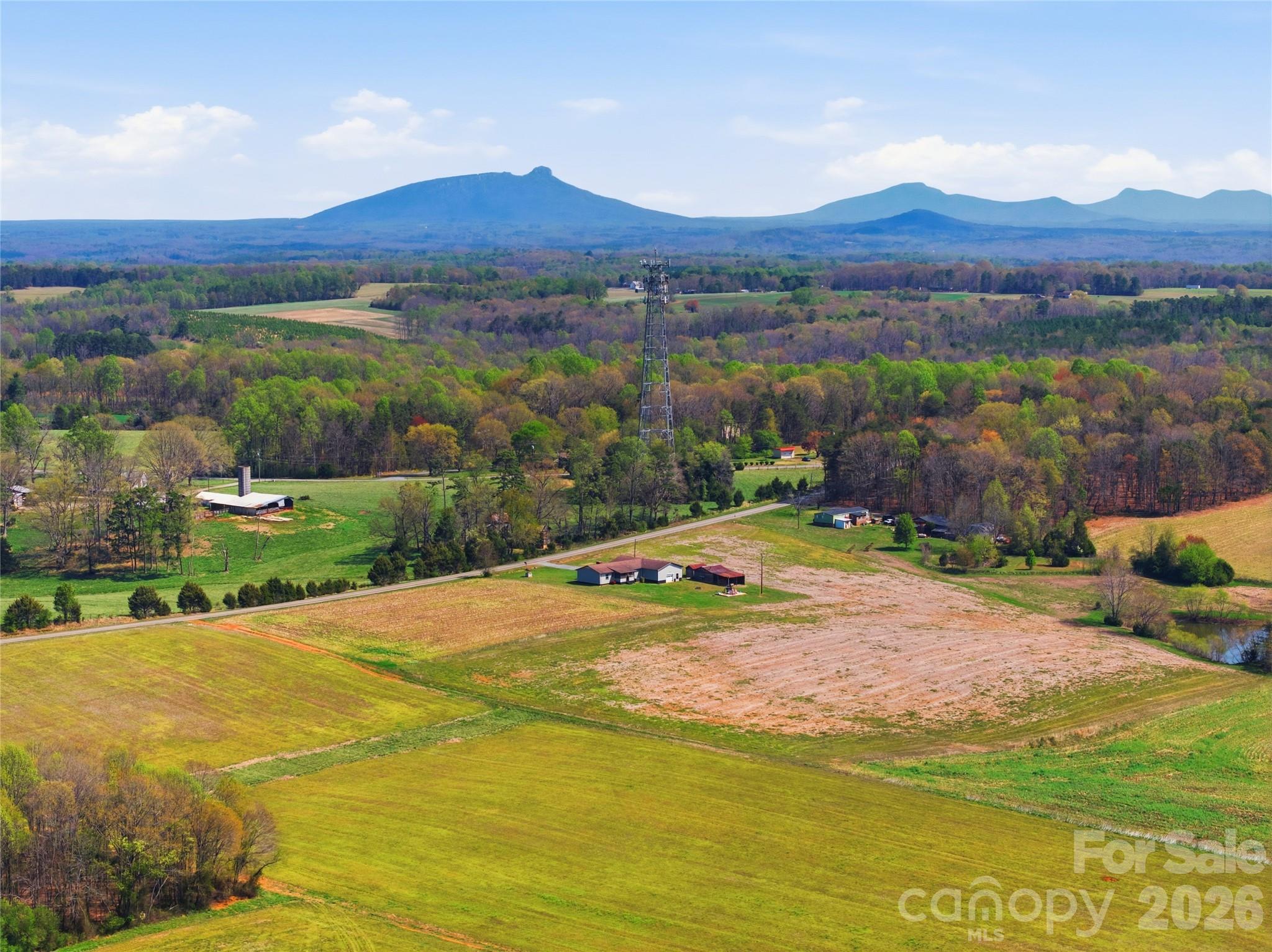 2452 Tower Road East Bend, NC 27018 - Photo 45 of 48