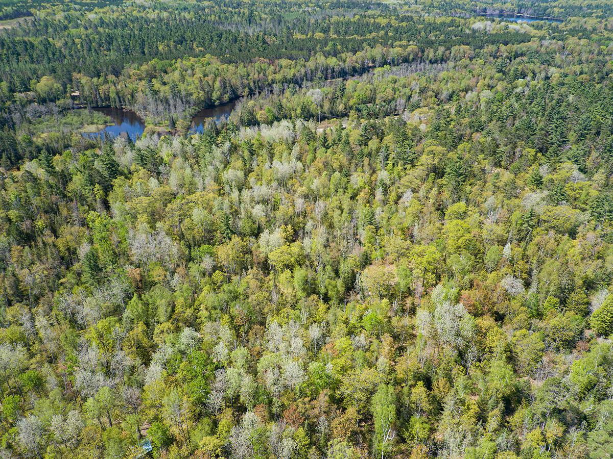 Off Sunset Road Eagle River, WI 54521 - Photo 14 of 33 Gallery Image 14