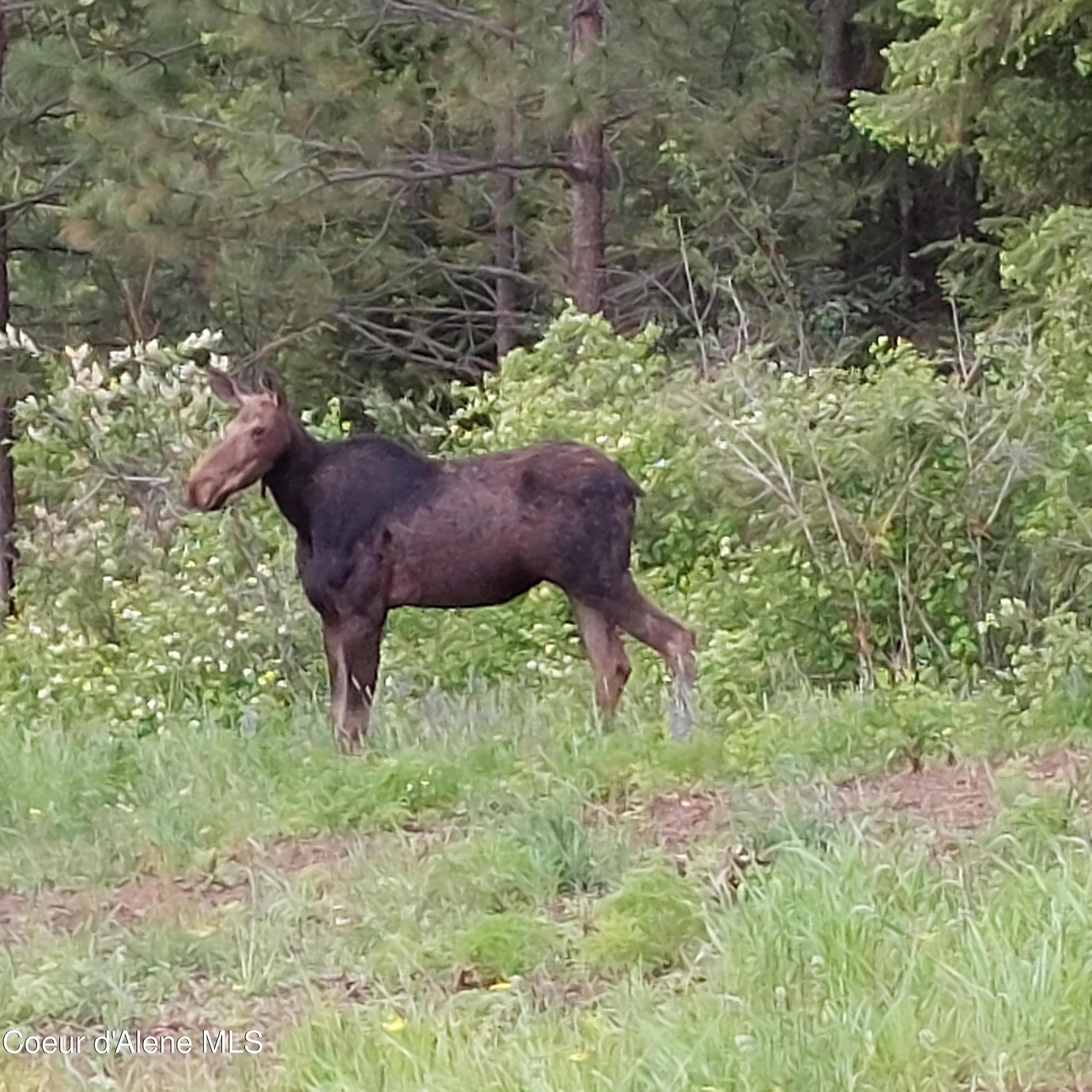 13476 West Margishward Road Post Falls, ID 83854 - Photo 47 of 60 47