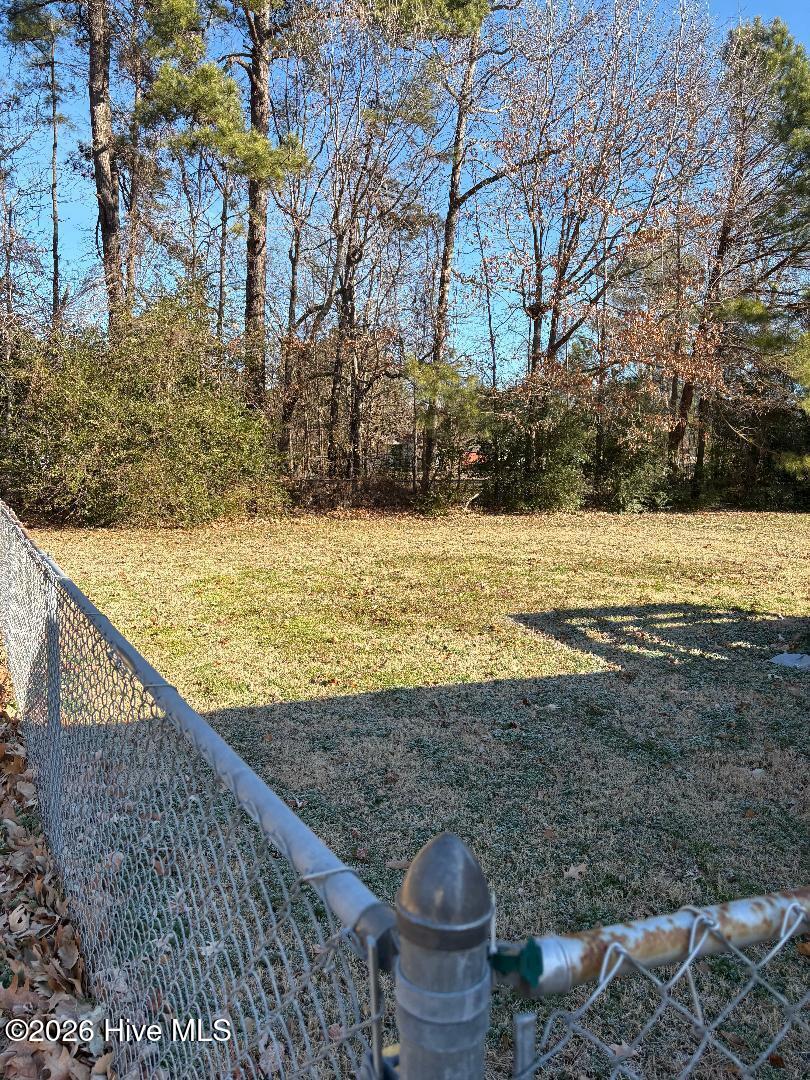 2004 Cedar Point Circle Elizabeth City, NC 27909 - Photo 6 of 19 Pretty treeline.